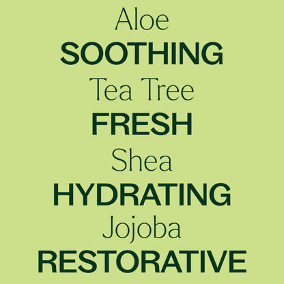 Plant Therapy Tea Tree Body Lotion with Aloe & Shea – Hydrate and Nourish Skin (8 oz)