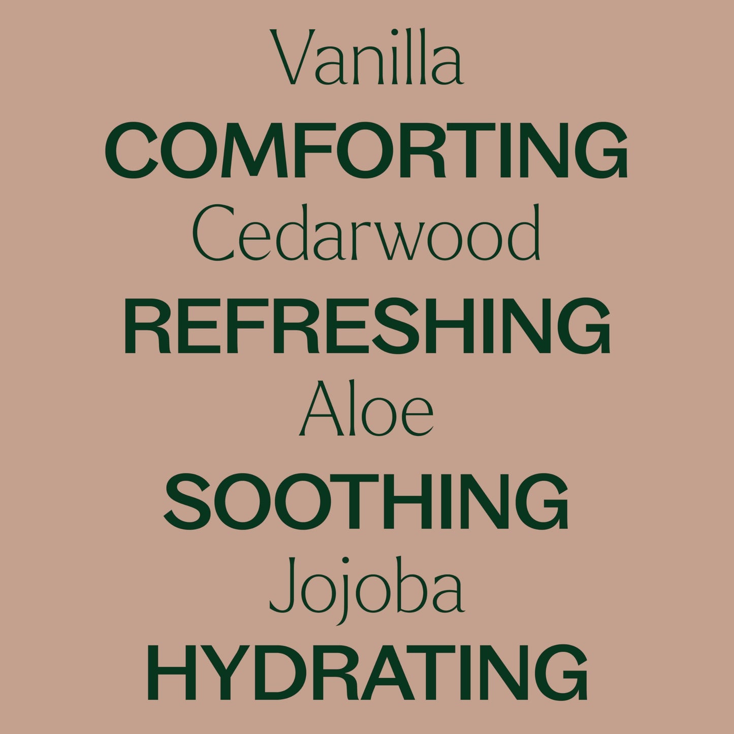 Plant Therapy Vanilla Woods Natural Body Wash 16 oz – Sulfate-Free Hydrating Cleanser for All Skin Types