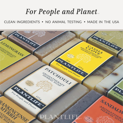 Plantlife Frankincense & Myrrh 3-Pack Bar Soap | Moisturizing, Plant-Based, California Made