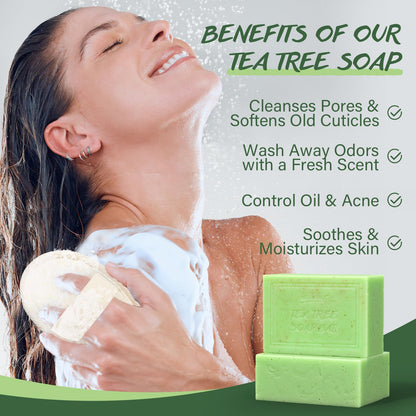 POP MODERN.C Tea Tree Oil Soap Bar – All-Natural Face & Body Wash Kit with Holder, Scrubber & Mesh Bag