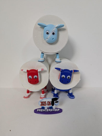 Premiersheep Manchester City Toilet Roll Holder – New 2025/26 Football Fan Gift – Universal Fit – Custom Boots