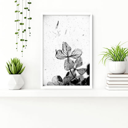 Bathroom Wall Pictures | Set of 3 Botanical Prints