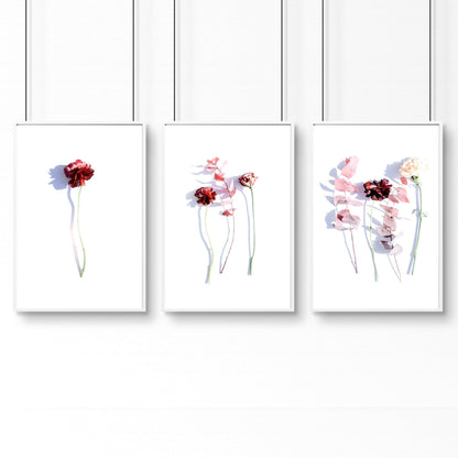 Art flowers | set of 3 framed wall art