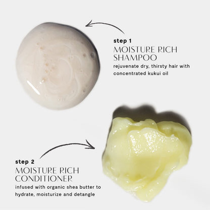 Prive Moisture Rich Shampoo — Extreme Hydration with Shea Butter | Color Safe