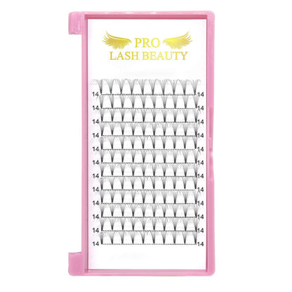 PRO LASHBEAUTY Premade Volume Eyelash Extensions: 8D 0.07/0.10, 17mm Short Stem Fans