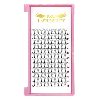 PRO LASHBEAUTY Premade Fans 6D-C Short Stem Volume Lash Extensions 9-20mm