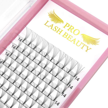 PRO LASHBEAUTY Premade Volume Eyelash Extensions – Short Stem 8D-C, 0.07/0.10, 10mm