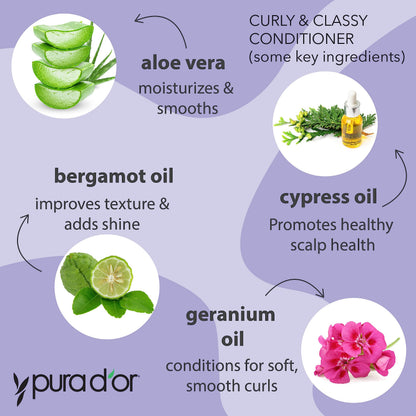 PURA D'OR Curly & Classy Hydrating Conditioner 16oz – Definition & Bounce