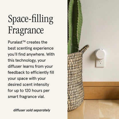Pura and Soap & Paper Factory Vanilla Fleur Home Scent Refill for Smart Diffuser – 2-Pack, Up to 120 Hours