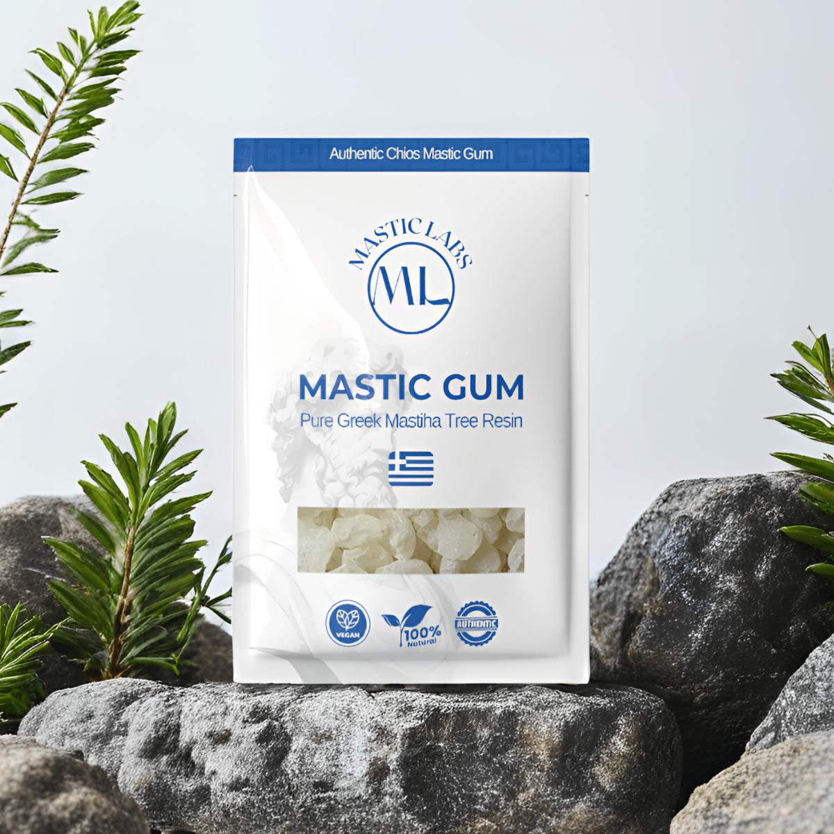 Pure Greek Chios Mastic Gum (Pistacia Lentiscus) - Medium/Large Tears
