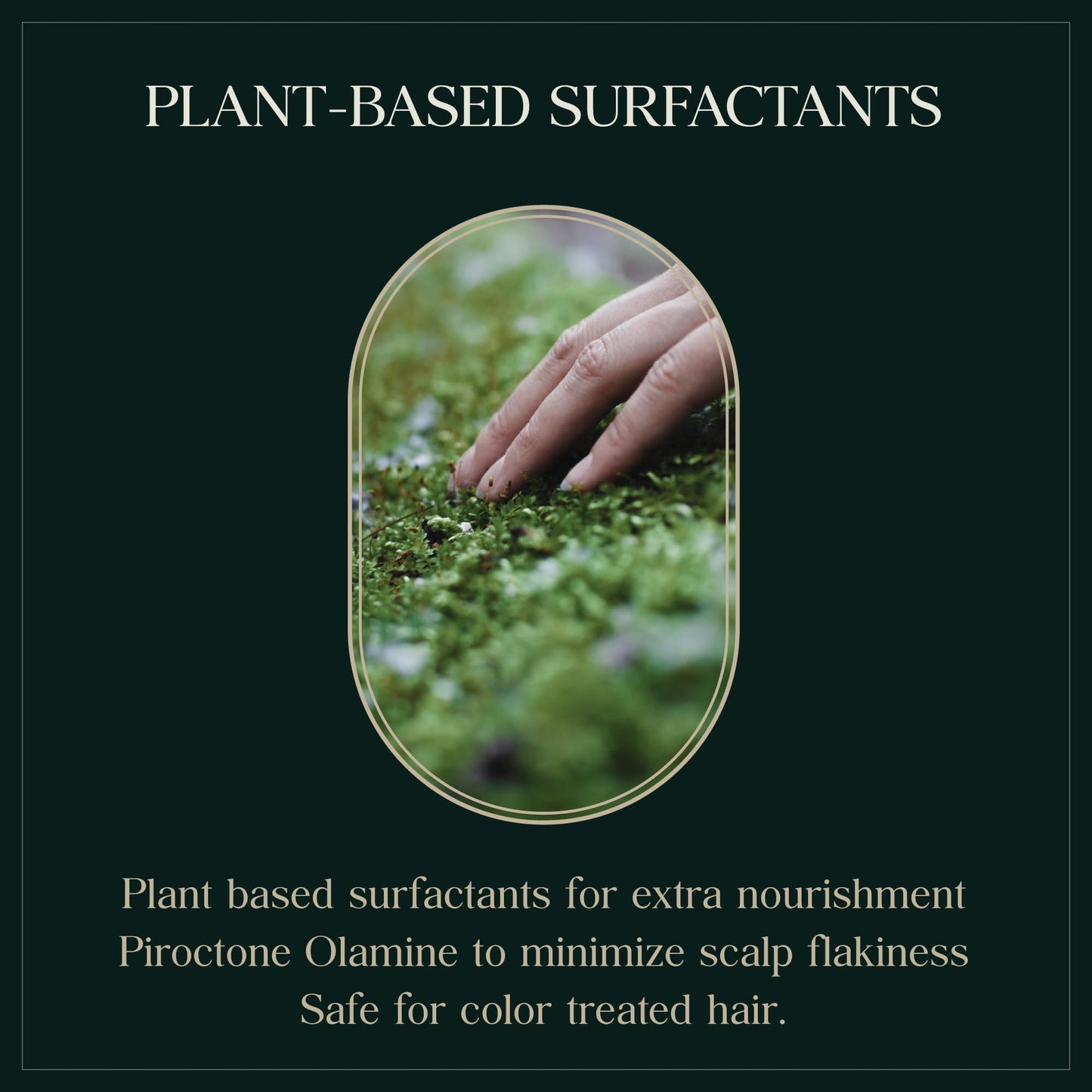 PUREBBLE Nourishing Botanic Cellcare Shampoo 500ml | Gentle, pH-Balanced & Color-Safe