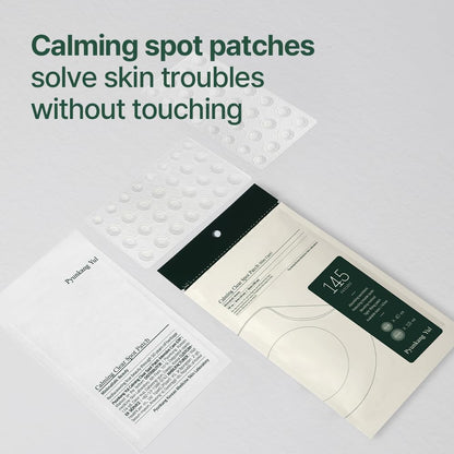 Pyunkang Yul PKY Calming Clear Spot Patch (Slim Care) – 145 Count, Invisible Oval Fit
