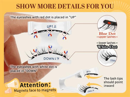 QUEWEL Magnetic Eyelashes 2-Pair Kit with Applicator — No Glue Needed, Reusable Cat-Eye Lashes