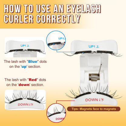 QUEWEL Magnetic Eyelashes with Applicator – No Glue Needed, Reusable, Beginner-Friendly (Soft-Magnetic-B)