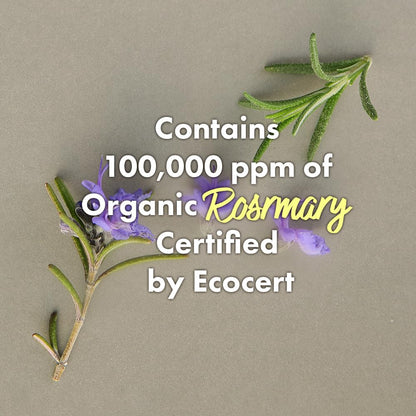 RATED GREEN Rosemary Balancing Scalp Pack | Organic Cold Brew Charcoal | 2-in-1 Detoxifying Hair Mask