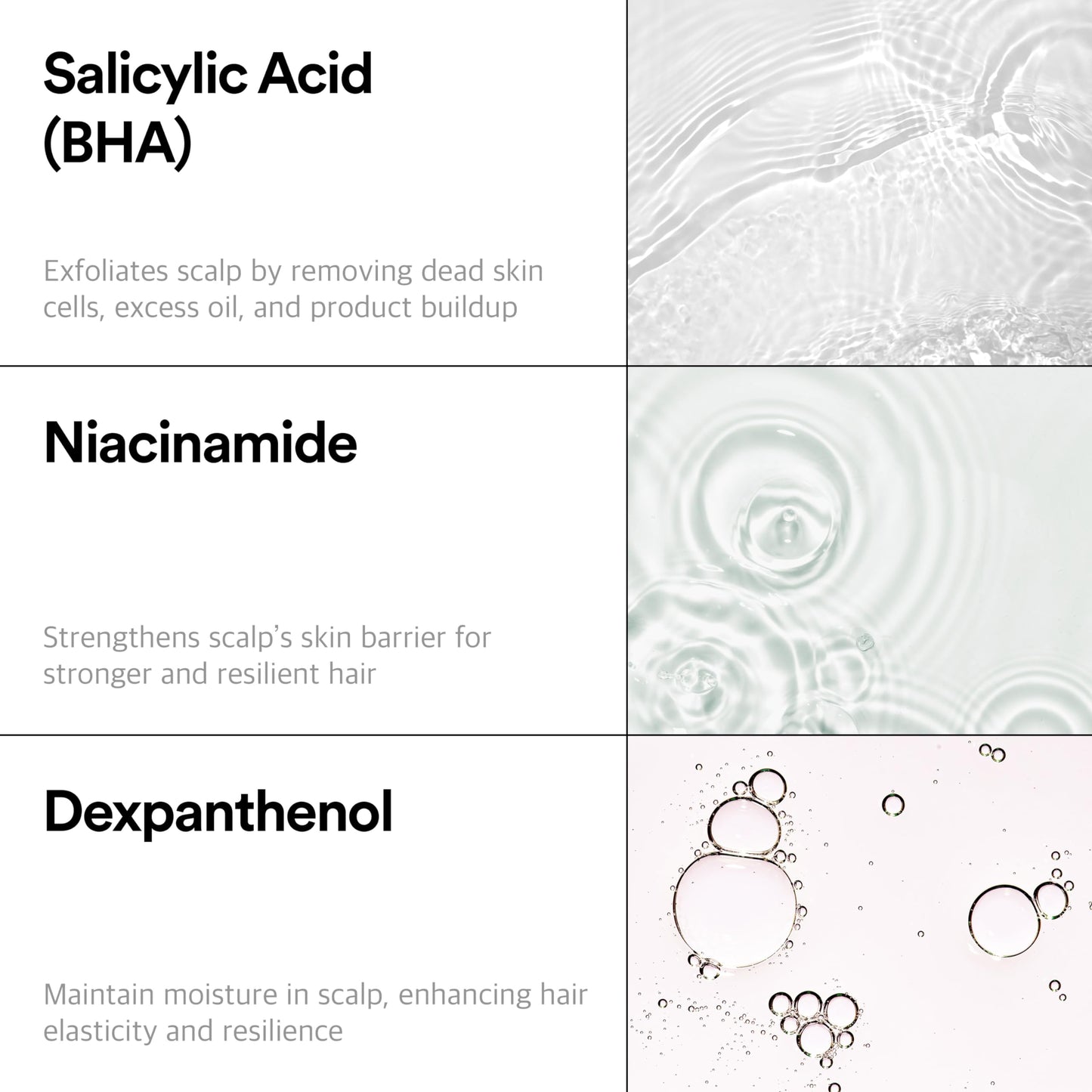 Refilled Hair-Recovery Cytokine Shampoo Plus Moisture Care – Sulfate-Free Thickening