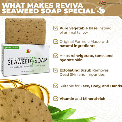 Reviva Seaweed Soap 4-Pack | Organic Seaweed Face Scrub & Exfoliating Body Bar - 4.5 oz | Made in USA