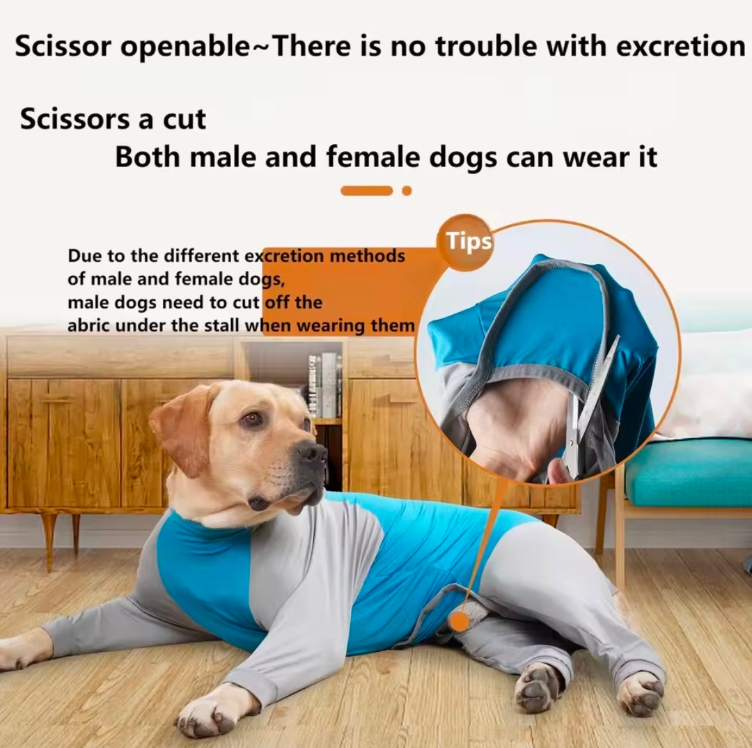 All Season Dog Body Suit