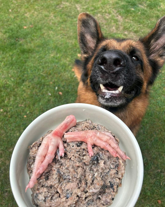 Chicken Feet 1kg - Tripefactory Sunderland - Raw Frozen Treats