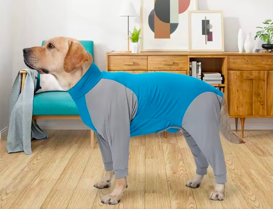 All Season Dog Body Suit