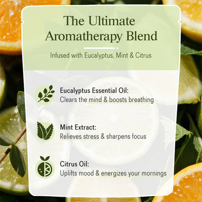 Romancy Shower Steamers 10 Pack – Menthol, Eucalyptus, Mint & Citrus Aromatherapy