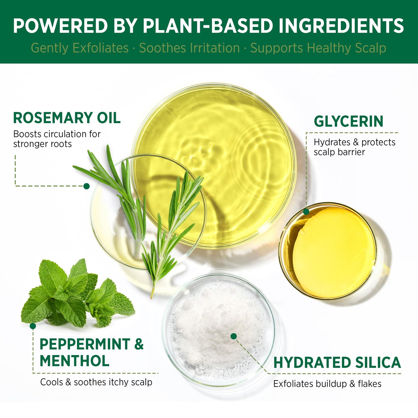 RoyceDerm Rosemary Mint Scalp Scrub – Clarifying Exfoliator for All Scalp Types