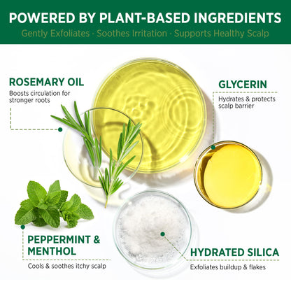 RoyceDerm Rosemary Mint Scalp Scrub – Clarifying, Cooling Exfoliator for All Scalp Types