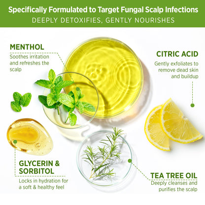 Roycederm Tea Tree Scalp Scrub with Scalp Massager Brush – Deep Cleansing Pre-Shampoo Treatment