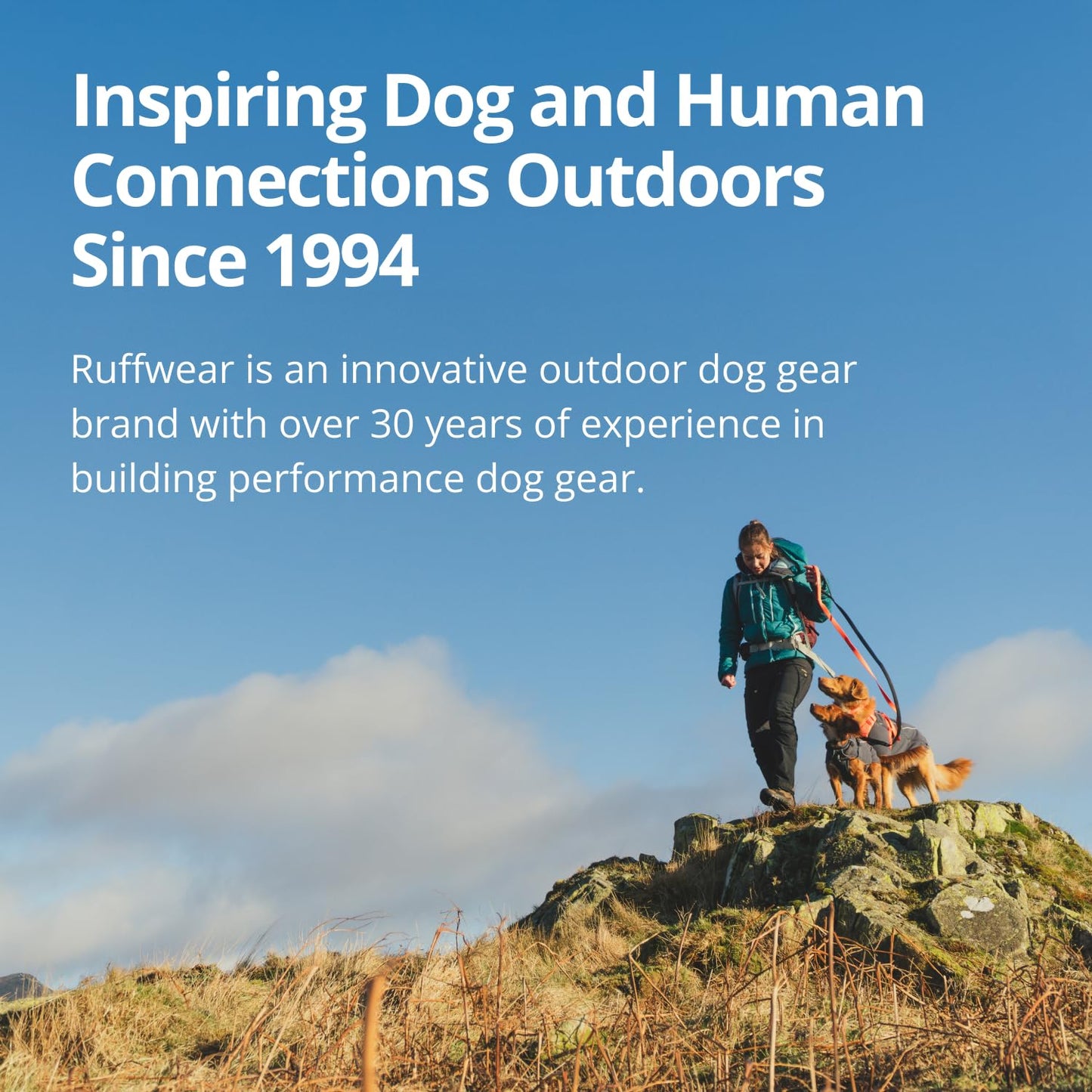 Ruffwear Sun Shower Dog Raincoat - All-Weather Waterproof, Windproof, Lightweight (Mineral Yellow) - Large