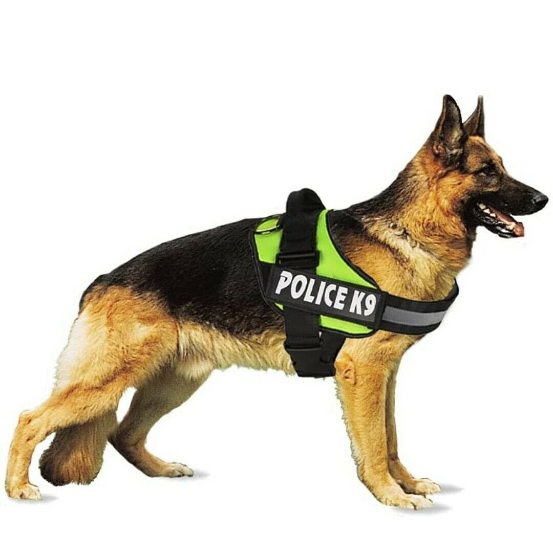 Stylish and Durable Police K9 Dog Harness for MediumSized Dogs