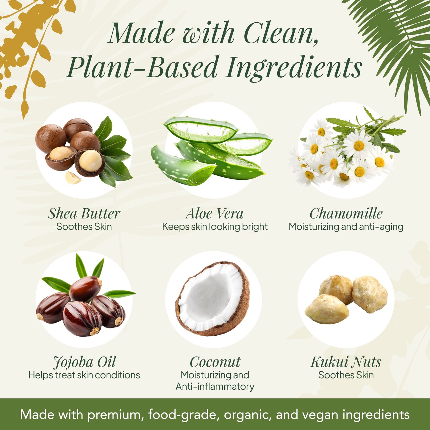 Saavy Naturals Moisturizing Body Wash for Sensitive Skin — Coconut Oil, Shea Butter & Aloe Vera | Paraben-Free, Cruelty-Free | Tropical Coconut | 8.5 fl oz, 2 pack