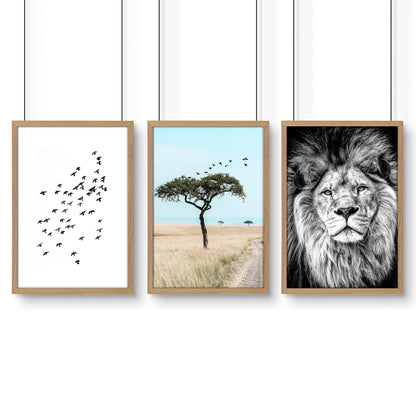Safari Accessories For Bedroom | Set of 3 African Wildlife Wall art Prints