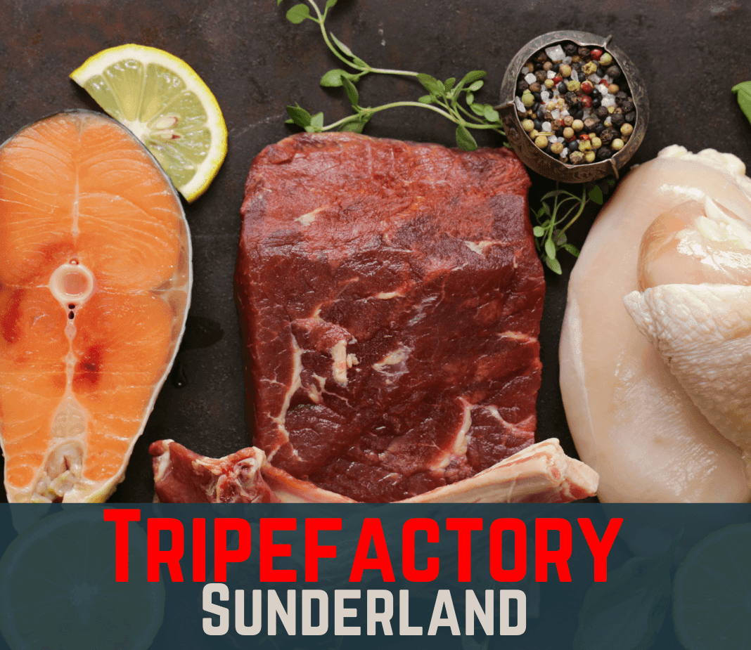 10 Chicken Necks - Tripefactory Sunderland - Raw Frozen Treats