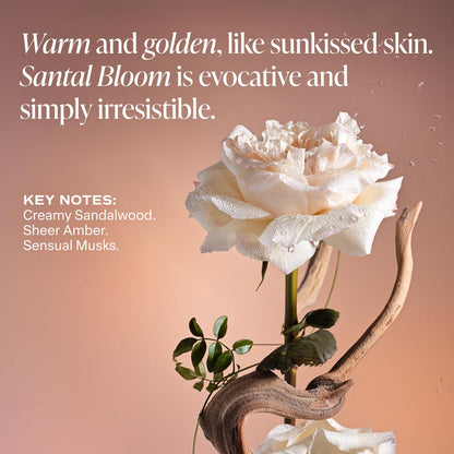 Saltair Multi-Lipid Body Butter – Rich Hydration with Ceramide Complex | Santal Bloom 10oz