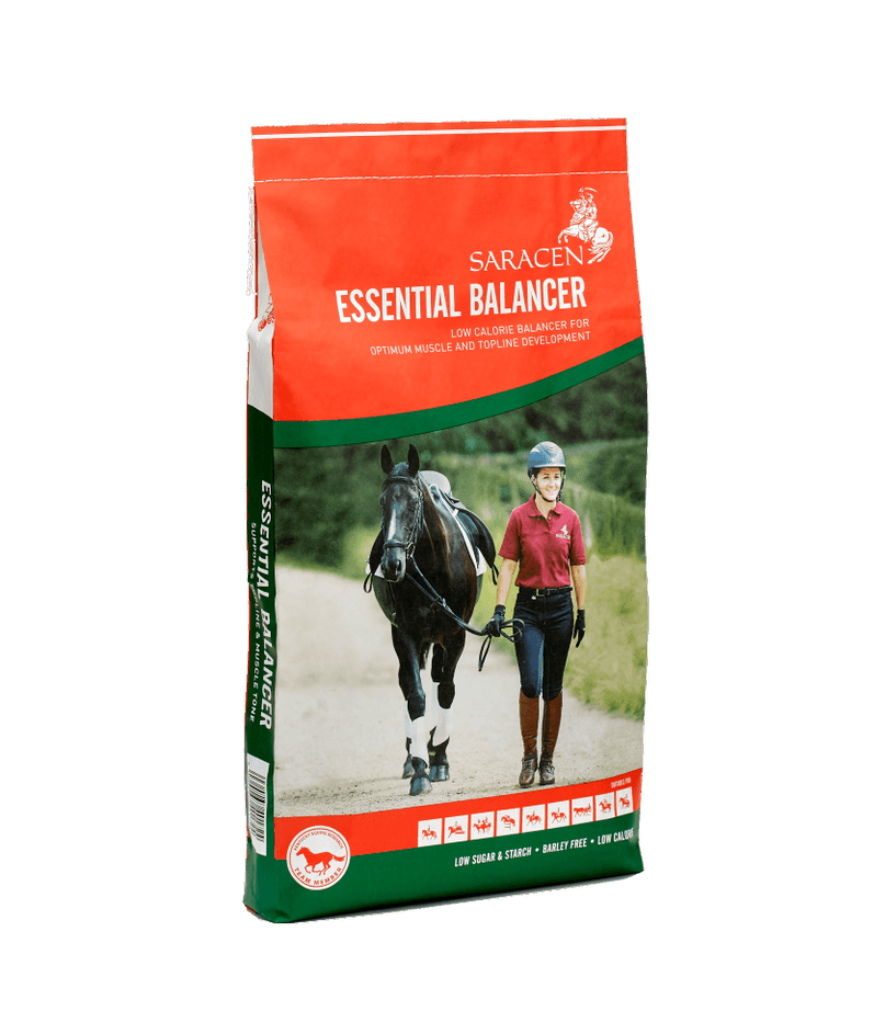 Saracen Essential Balancer