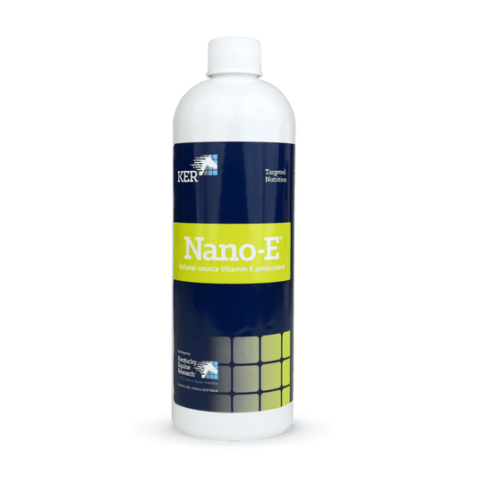 Saracen KERx Nano-E 450ml