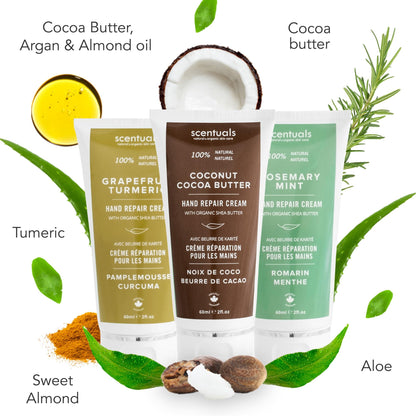 Scentuals Hand Cream Set of 3 – Shea & Cocoa Butter Rich Formula with Argan & Almond Oils, 60 ml Each – Grapefruit Turmeric, Rosemary Mint & Coconut Cocoa Butter