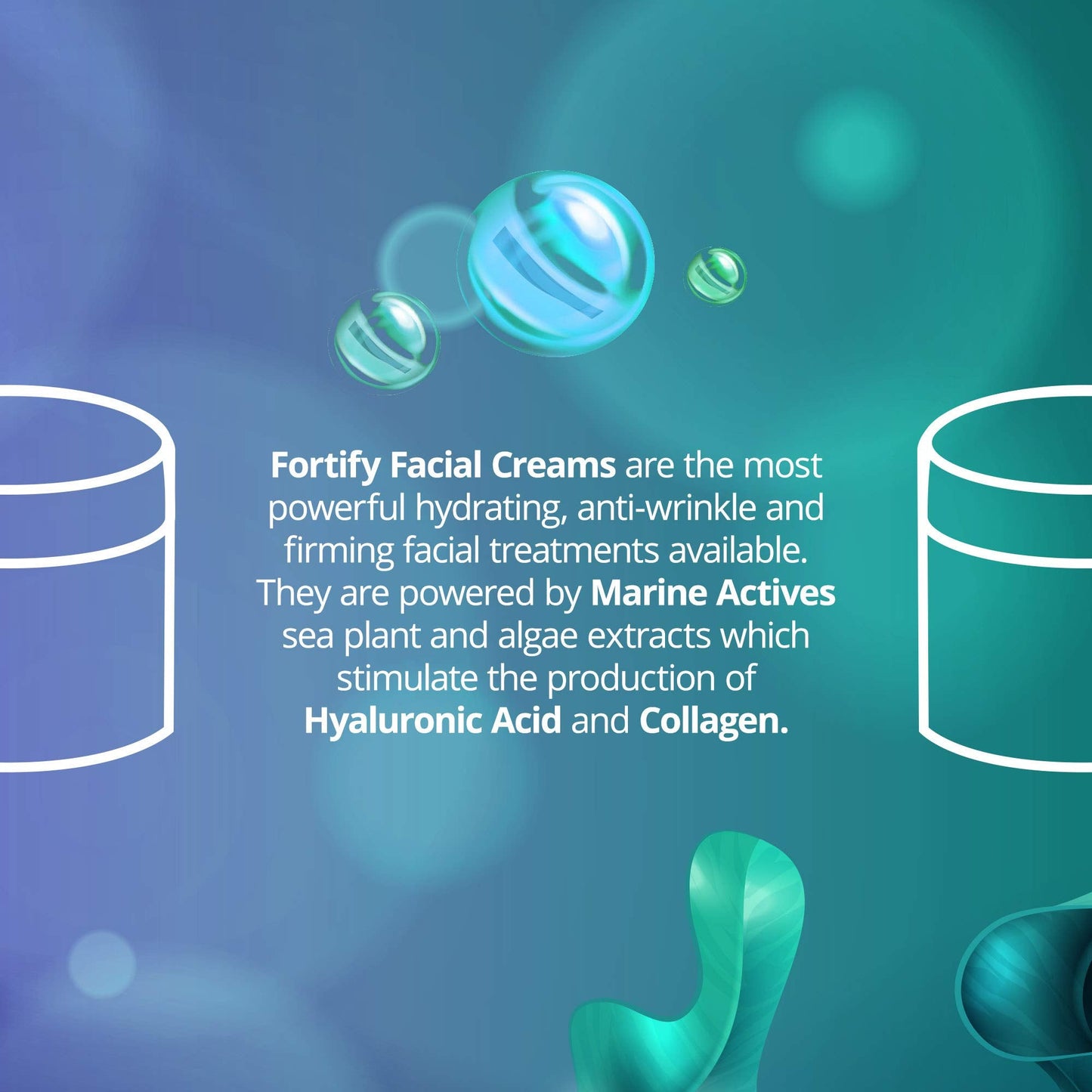 Sea Kind Fortify Cell Boosting Day Cream – Lightweight Marine Actives Moisturizer for All Skin Types