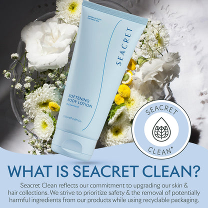 SEACRET Body Lotion for Dry Skin | Daily Moisturizer with Ceramide, Squalane & Dead Sea Minerals - Ocean Mist Scent, 6.8 oz