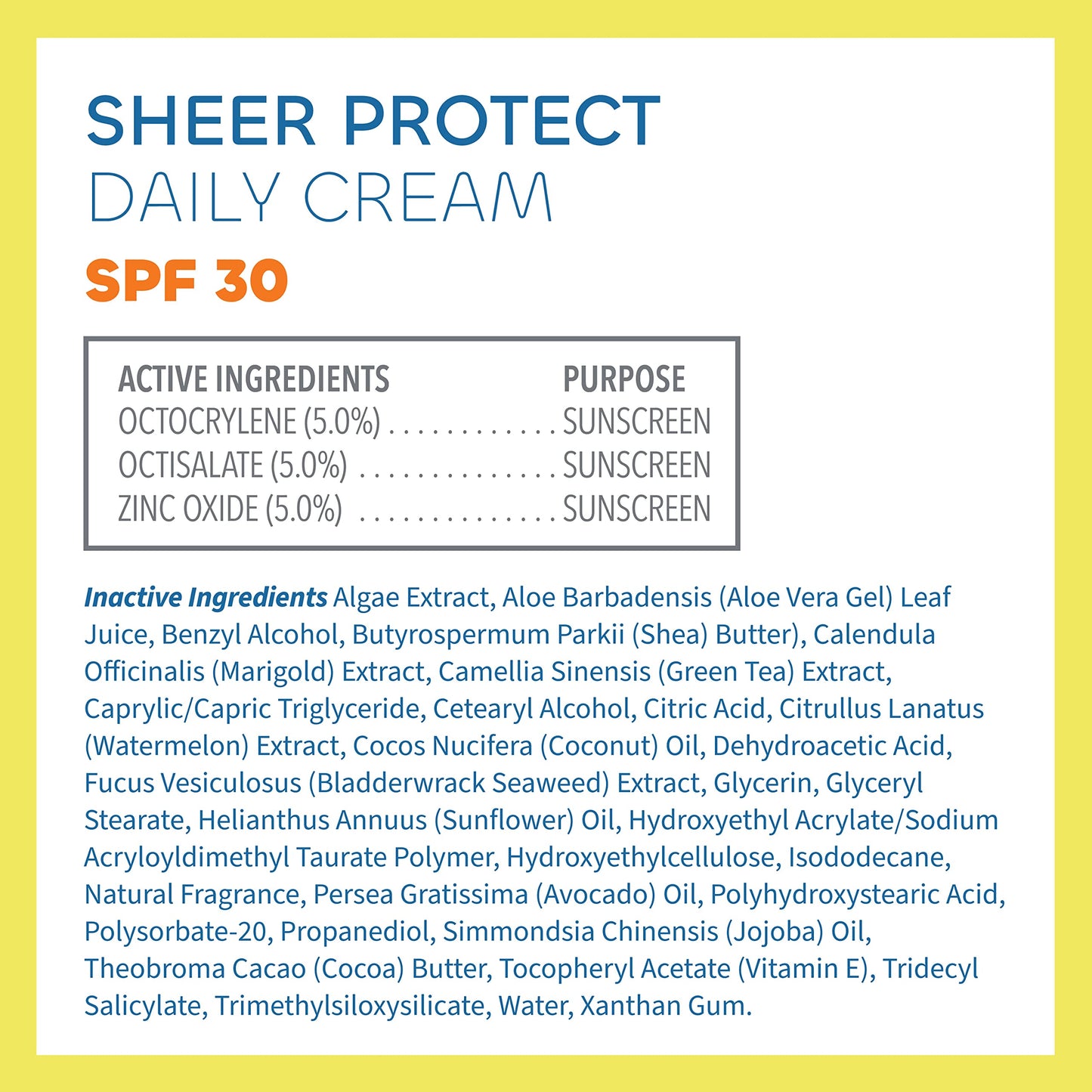Seaweed Bath Co. Sheer Protect SPF 30 Daily Cream – 3.4oz, Hybrid Broad Spectrum Sunscreen with Aloe & Green Tea