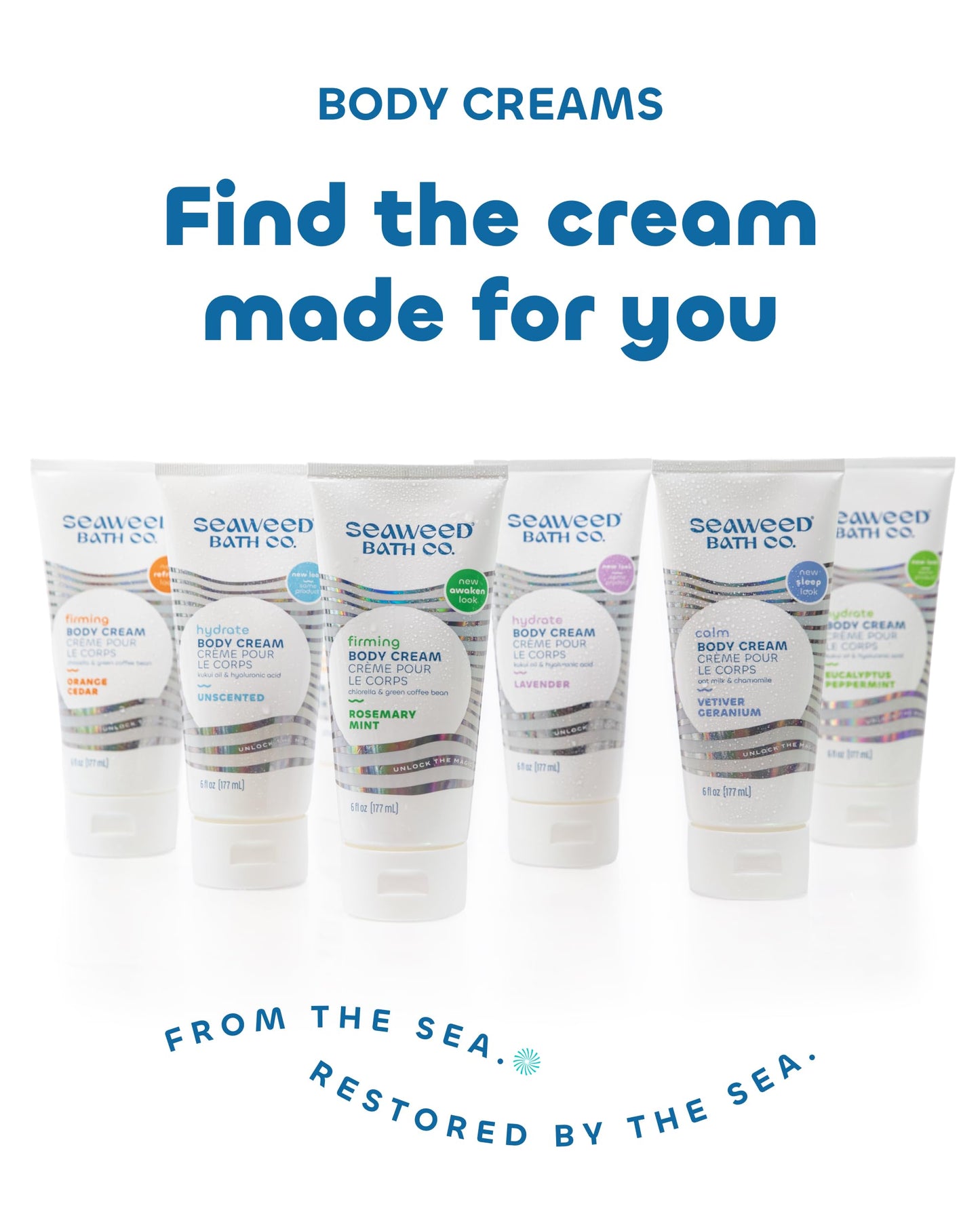 Seaweed Bath Co. Firming Body Cream – Rosemary Mint with Hyaluronic Acid (6 oz, Pack of 2)