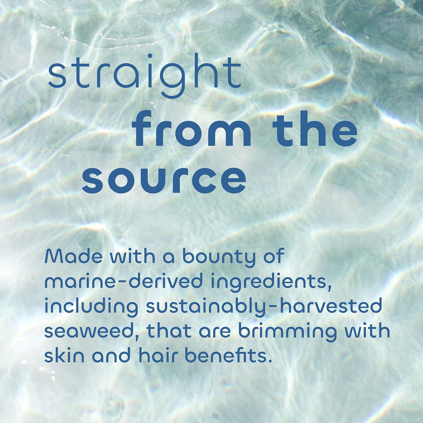 The Seaweed Bath Co. Gloss Conditioner – Sea Salt Bergamot, 12 oz | For All Hair Types