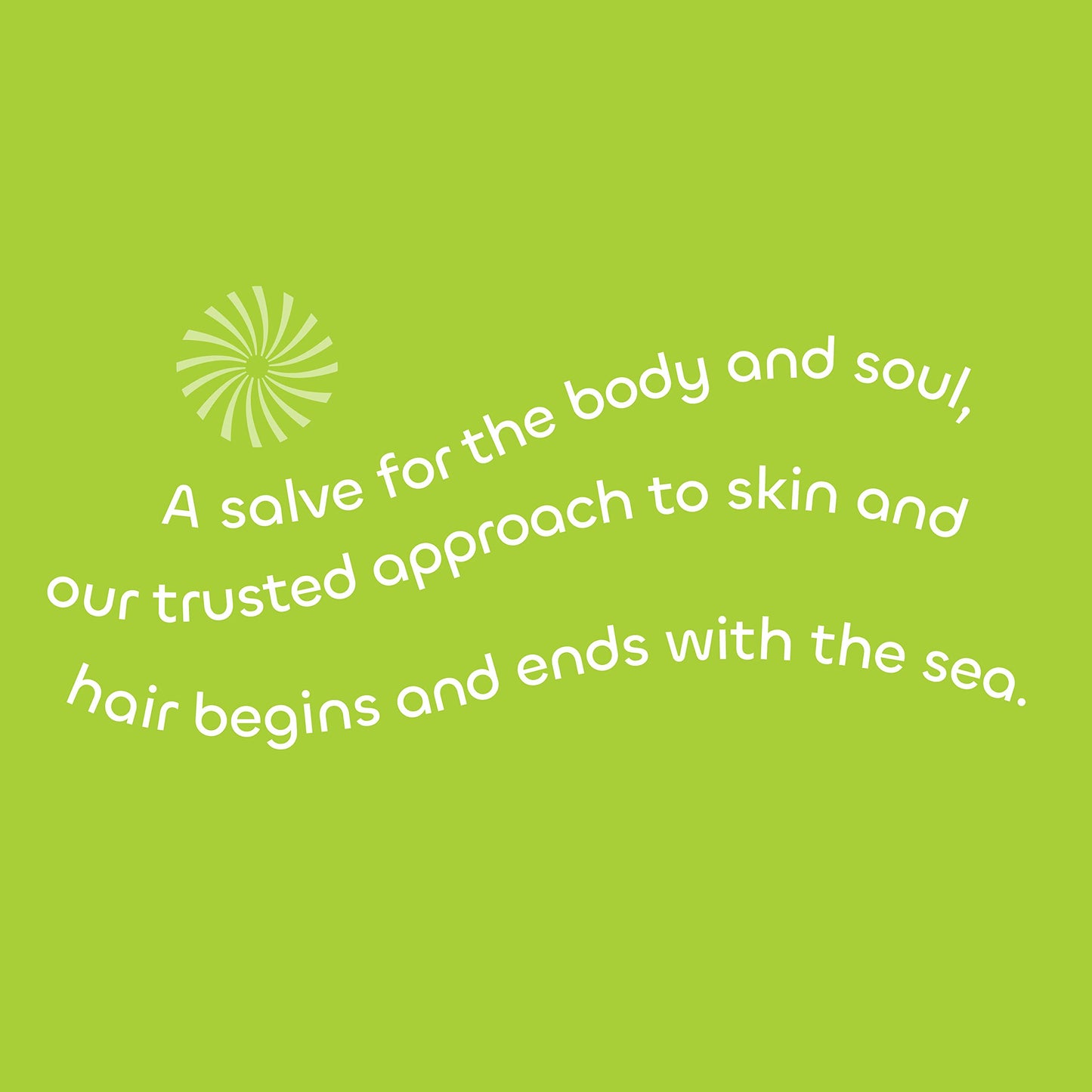 The Seaweed Bath Co. Gloss Conditioner – Sea Salt Bergamot, 12 oz | For All Hair Types