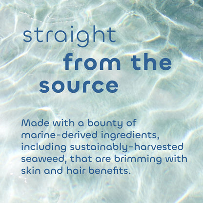 Seaweed Bath Co. Gloss Shampoo – Sea Salt Bergamot Scent, 12 oz | Sustainably Harvested Seaweed & Awapuhi