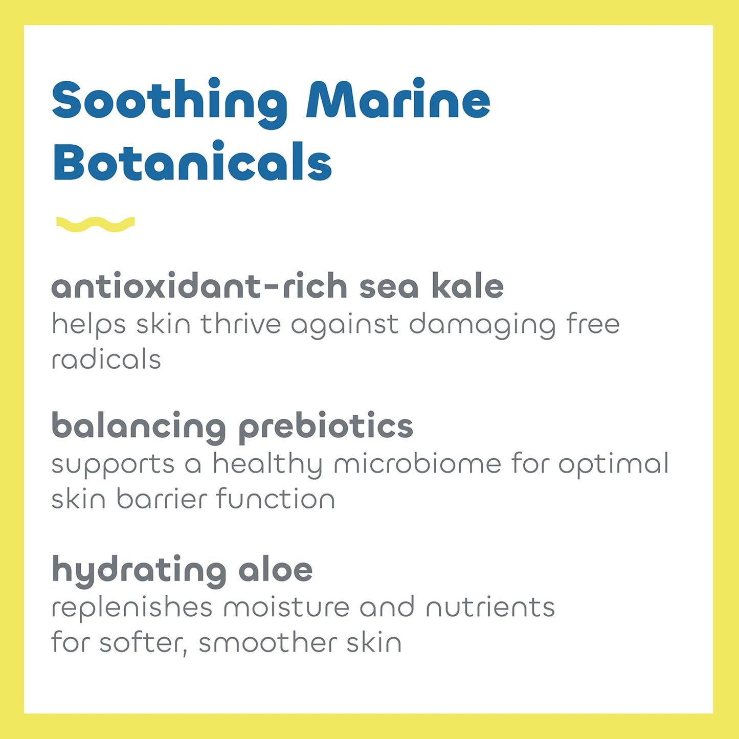 Seaweed Bath Co. Everyday Mineral SPF 40 Sunscreen Lotion – Broad Spectrum, Vegan & Cruelty-Free, 3.4 oz
