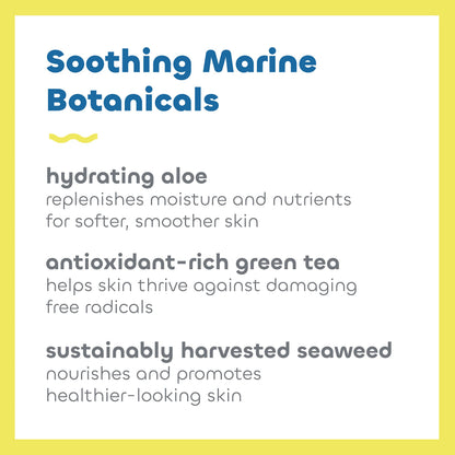 Seaweed Bath Co. Sheer Protect SPF 30 Daily Cream – 3.4oz, Hybrid Broad Spectrum Sunscreen with Aloe & Green Tea