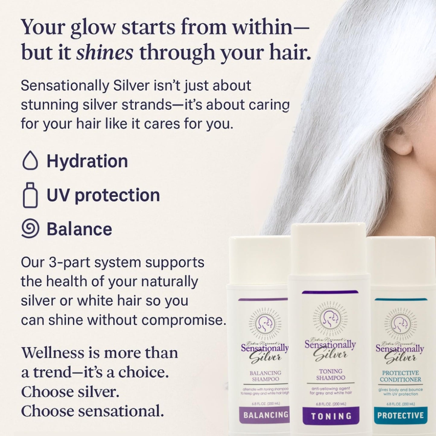 Robin Norwood's Sensationally Silver Protective Conditioner – UV Defense for Gray Hair (6.8 oz)