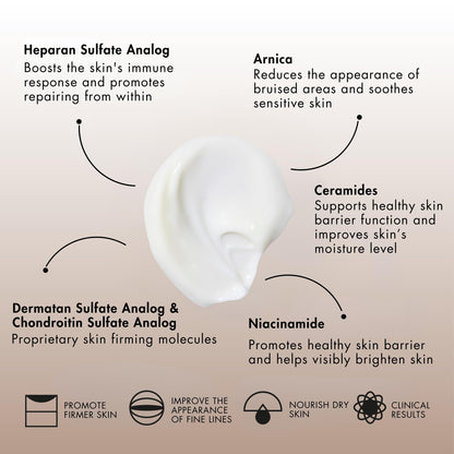 Sente Dermal Repair Body Cream | Restore Skin Barrier, Hydration & Firmer-Looking Skin | 6 oz