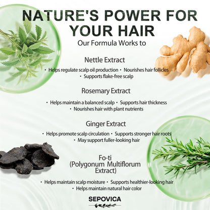 SEPOVICA Nettle & Rosemary Shampoo – Hair Growth, Thinning Hair & Oil Control | Volumizing, Paraben Free (6.76 fl oz)
