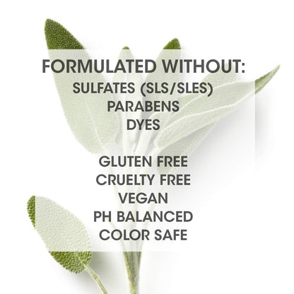 SEVEN Satara Volume Conditioner for Fine Hair – Argan Oil, Pro Vitamin B5, Hydrolyzed Quinoa | Made in USA | 10.7 oz